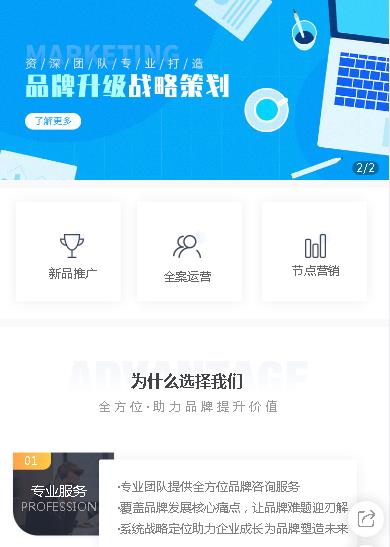 绿园咨询策划小程序开发